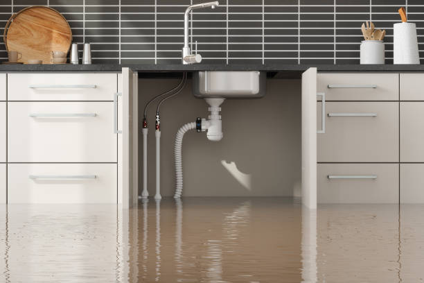 Best Commercial water damage restoration  in Coeur Dalene, ID