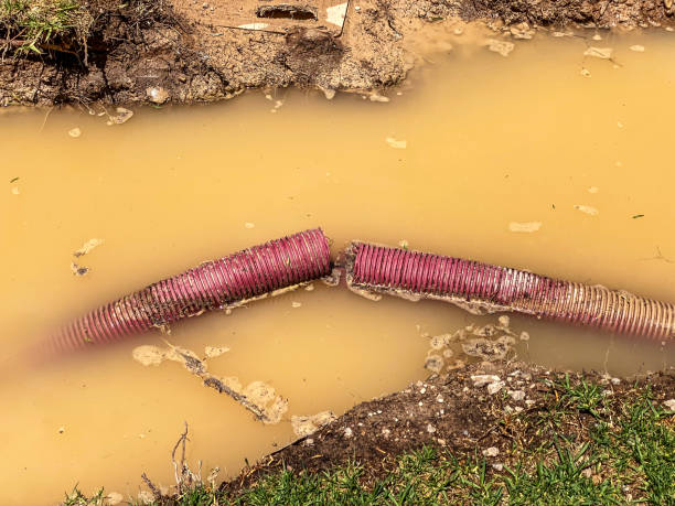 Best 24/7 water damage repair  in Coeur Dalene, ID