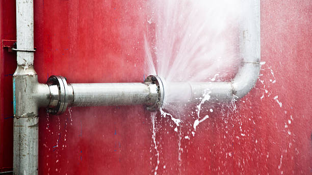 Best Water damage restoration mold remediation  in Coeur Dalene, ID